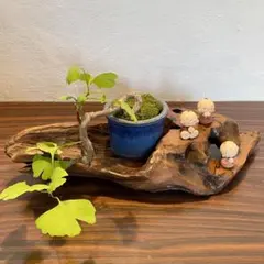 2025年最新】生け花花台の人気アイテム - メルカリ