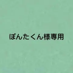 ぽんたくん様専用