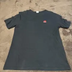 Supreme®/The North Face® StatueofLiberty