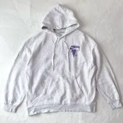 ナイキ　NIKE ステューシー　コラボ　デザイン ストリート系　ロゴパーカー