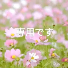 sattonさま専用【日本限定　高級感漂う本革】ガマ財布　バイカラー　スター型押