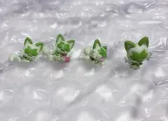 【匿名発送】ポケモン　ニャオハ　フィギュア　4点まとめ