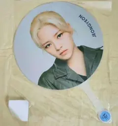 【TWICE ジョンヨン】 World in A Day 公式うちわ