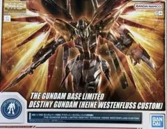未組立 MG デスティニーガンダム ハイネ専用機 ガンダムベース限定 未組立 MG デスティニーガンダム ハイネ専用機 ガンダムベース限定
