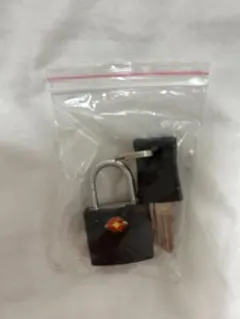 Item thumbnail for item ffa3509f-5c1a-42d0-8fcd-36a9acdd3579