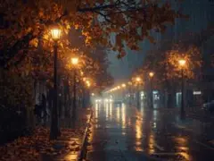 雨の街路樹No.1