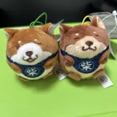 柴犬 ぬいぐるみ ストラップ付き