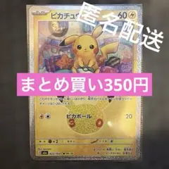 【06/30】ピカチュウ さびしみめせん