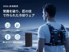 新品PSE取得品 ワークマン ペルチェベスト 動作確認済み 50000mAh 新品PSE取得品 ワークマン ペルチェベスト 動作確認済み 50000mAh