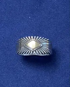 2025年最新】パトリシアベドニーの人気アイテム - メルカリ