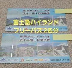 富士急ハイランド 遊園地フリーパス 大人2名分のサムネイル