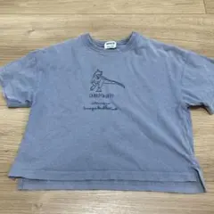 BREEZE ギガノトサウルス Tシャツ