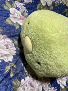 すみっこぐらし ぬいぐるみクッション