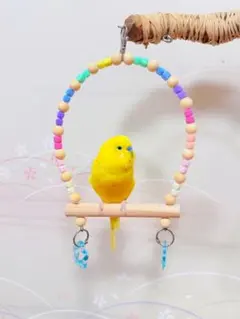 Item thumbnail for item 7868d069-e3eb-45cd-a7f2-f275b9af8013