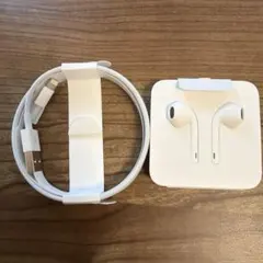Apple 純正 ライトニング 有線 イヤホン USB-A充電ケーブル