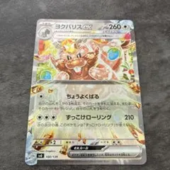はげちゃぼん様 リクエスト 2点 まとめ商品