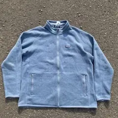 00s Patagonia パタゴニア フリース ジャケット archive 青