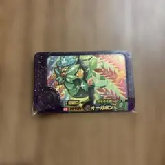 フレンダ　オーガポン　※おまけ付き