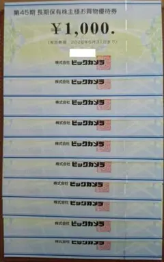 ビックカメラ 株主優待券 10000円分