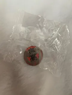 ハイキュー!! 高校モチーフピンバッジ 烏野高校