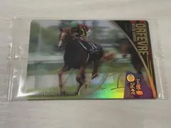 【サイン入り】サラブレッドホースコレクション　オルフェーヴル