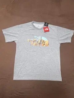 THE NORTH FACE Tシャツ グレーXLのサムネイル