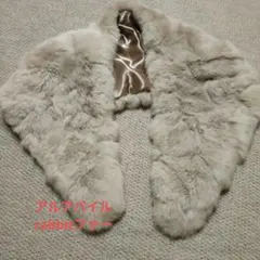 Item thumbnail for item dfaf5314-2946-41d4-9ab4-16f91e07c2bc