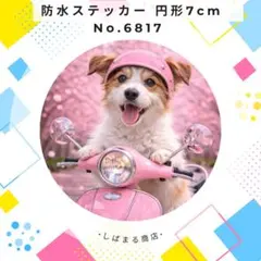 Item thumbnail for item e2afcaf8-ec8b-4824-b6cb-02df50548b3d