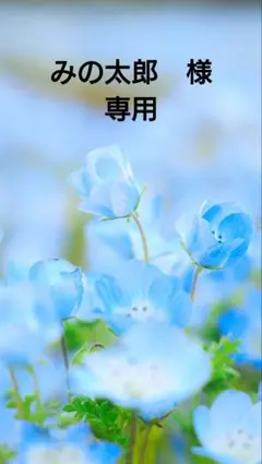 みの太郎　様専用　カービィフィギュア6点セット