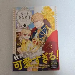 ある日、お姫様になってしまった件について 13巻 特典ポストカード付き