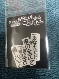 SUPER BEAVER あなたと生きる「ことば」たち　愛する