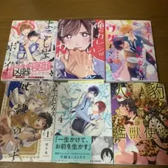 ＢＬコミック　6冊セット　ＢＬ小説　ＢＬ新刊　組み替えOK
