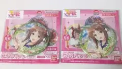 ウマ娘 CANバッジ ファインモーション 2点