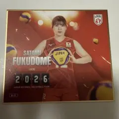福留慧美 金箔サイン入り ミニ色紙 バレーボール女子日本代表 2026
