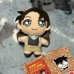 名探偵コナン キーチェーンマスコット 宮野明美 ぬいぐるみ 2点 - メルカリ