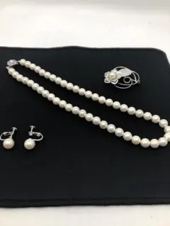 Item thumbnail for item 41d53bf1-0338-4f60-bcfa-3ff907e6ccfc