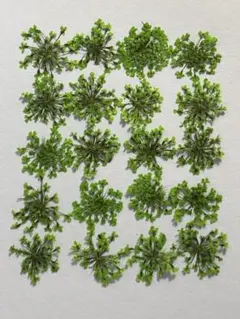 フィオーナ様 リクエスト 5点 まとめ商品