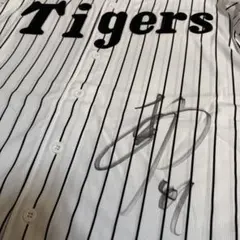 Item thumbnail for item 54c22e84-f886-4043-a459-a94f88781f7c