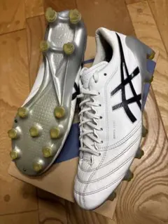 超美品　大特価　廃盤品　アシックス　DSライトX-FLY 4 25cm