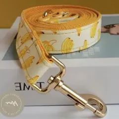 Item thumbnail for item 2b3d6bf1-564f-45e6-a763-81008b04a81c