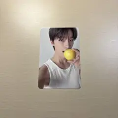 SEVENTEEN DINO トレカ