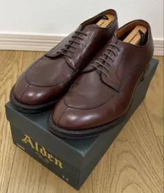 Alden オールデン Vチップ ブラウン アナトミカ別注 9D 54443のサムネイル