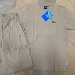 Item thumbnail for item 2c4969cd-fb37-48ce-b472-a70a2678e21c