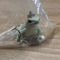 ネイチャーテクニカラー　モウドクフキヤガエル　キーホルダー
