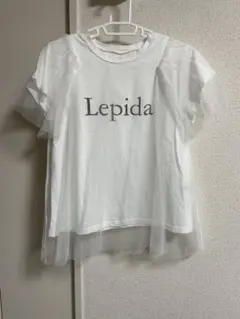 Item thumbnail for item ca4acbe2-de6b-415d-bf16-56c943f8500a