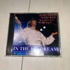 アンダーソン・ラビン・ハウ IN THE BIG DREAM 未使用　最終値下げ