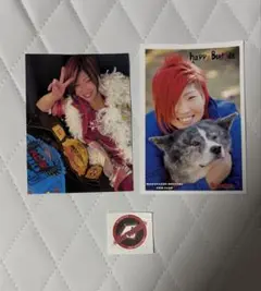 彩羽匠 L版写真 写真ハガキ ステッカー セット マーベラス 女子プロレス