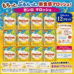 カンロ マロッシュ オレンジスプラッシュ味 12コセット もちもち食感 グミのサムネイル