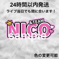 &TEAM ネームボード ボード うちわ ぷっくり ライブ ニコラス 王奕翔