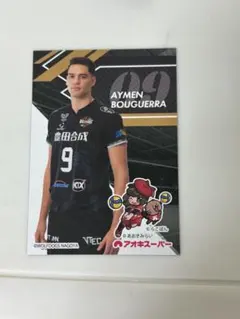 Item thumbnail for item 7145580b-51b2-4406-ac39-4ba53c01235d